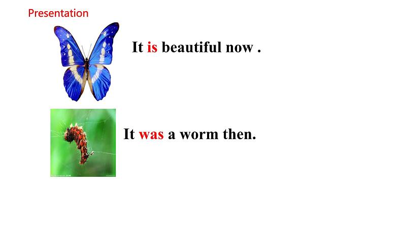 Module 9 Unit 1 They were very young 课件+素材（ 22张PPT）07