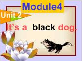 外研版（三起）英语三年级上册Module 4 Unit 2  It's a black dog.(1) 课件