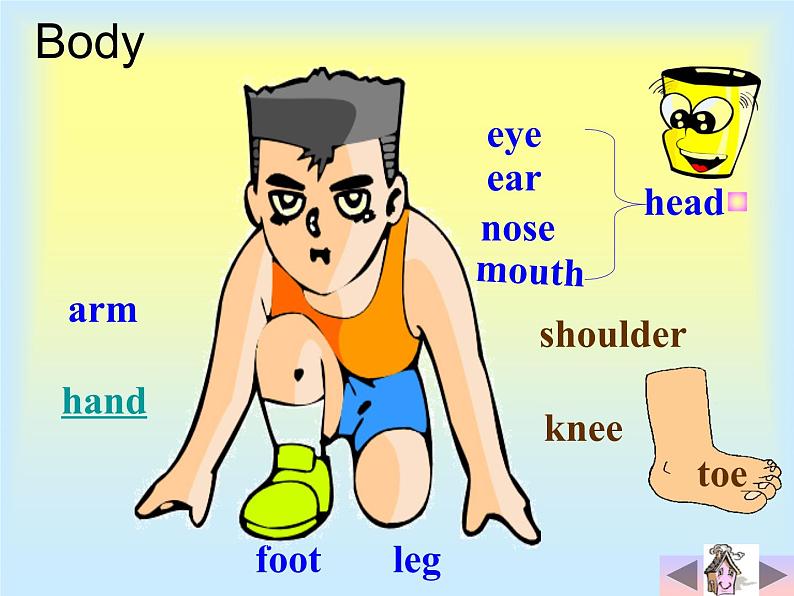 外研版（三起）英语三年级上册Module 10 Unit 1   This is his head. 课件05