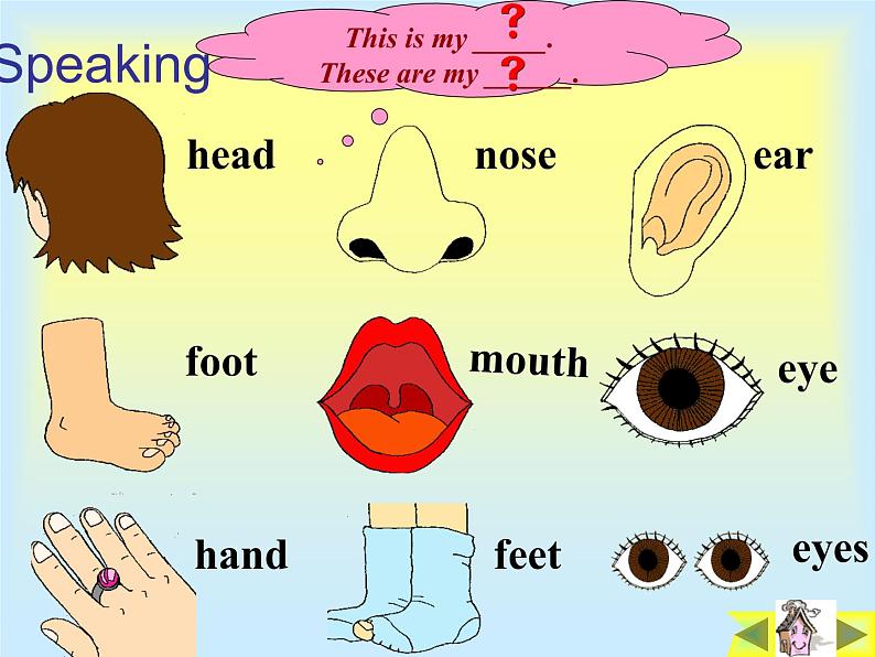 外研版（三起）英语三年级上册Module 10 Unit 1   This is his head. 课件06