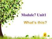 外研版（三起）英语三年级上册Module 7 Unit 1 Unit 1 What's this？ 课件