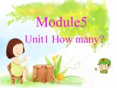 外研版（三起）英语三年级上册Module 5 Unit 1 How many(3) 课件