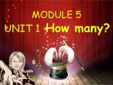 外研版（三起）英语三年级上册Module 5 Unit 1 how many -9-12 课件