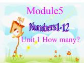 外研版（三起）英语三年级上册Module 5 Unit 1 How many(4) 课件