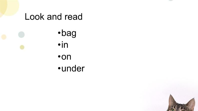 外研版（三起）英语三年级上册Module 8 Unit 2 Wheres the cat？_ 课件02