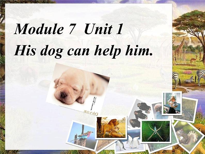 外研版（一起）英语五年级上册 Module 7 Unit 1 His dog can help him.(2)（课件）01