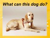 外研版（一起）英語五年級(jí)上冊(cè) Module 7 Unit 1 His dog can help him.（課件）