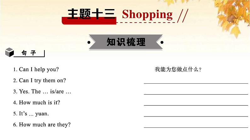 小升初英语满分特训主题十三Shopping讲课件第2页