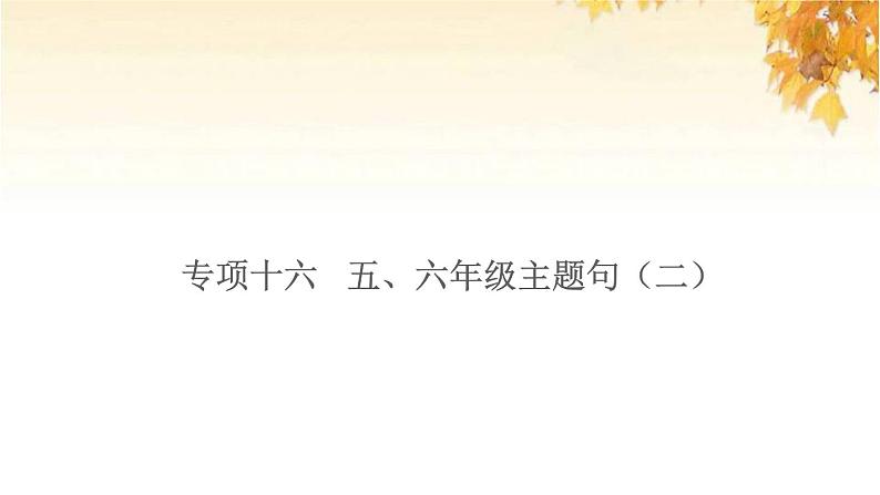 小升初英语归类冲刺专项复习卷五句子与情景交际五六年级主题句二课件第1页