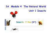 沪教版英语三年级上册（试用版） Module 4 Unit 1  Insects（课件）
