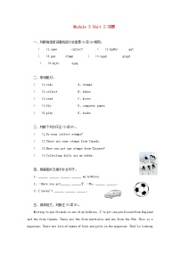 外研版六年级英语上册Module3Unit2What'syourhobby习题同步练习