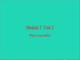 外研版六年级英语上册Module3Unit2What'syourhobby习题课件