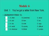 外研版六年级英语上册Module6Unit1You'vegotaletterfromNewYork习题课件