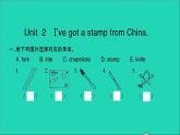 外研版六年級英語上冊Module6Unit2I'vegotastampfromChina習(xí)題課件