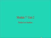 外研版六年級(jí)英語上冊(cè)Module7Unit2Pandaslovebamboo習(xí)題課件