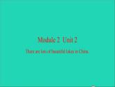 外研版六年級(jí)英語(yǔ)上冊(cè)Module2Unit2TherearelotsofbeautifullakesinChina習(xí)題課件