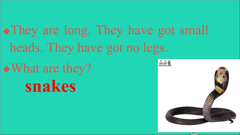 外研版六年级英语上册Module7Unit1Idon 'tbelieveit教学课件第4页