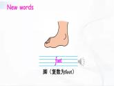 冀教版英語四年級下冊 Lesson 16 教學(xué)課件+同步教案+同步練習(xí)+音視頻素材