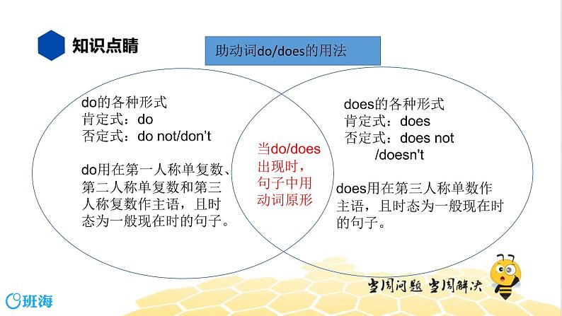 英语三年级【知识精讲】6.动词(2)助动词课件PPT06