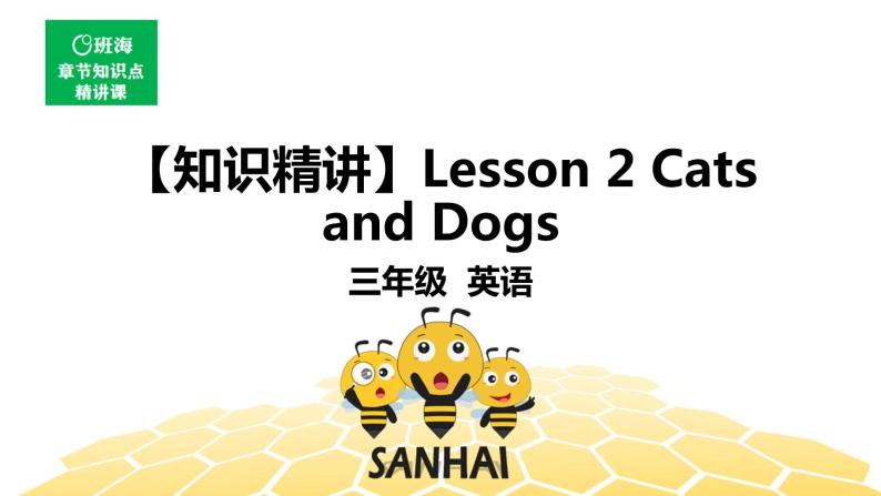 英语三年级【知识精讲】Lesson 2 Cats and Dogs课件PPT01