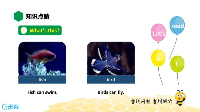 英语三年级【知识精讲】Lesson 3 Fish and Birds课件PPT02