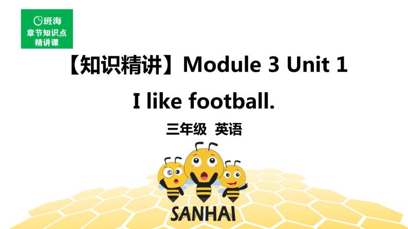 英语三年级【知识精讲】Module 3 Unit 1 I like football.课件PPT01