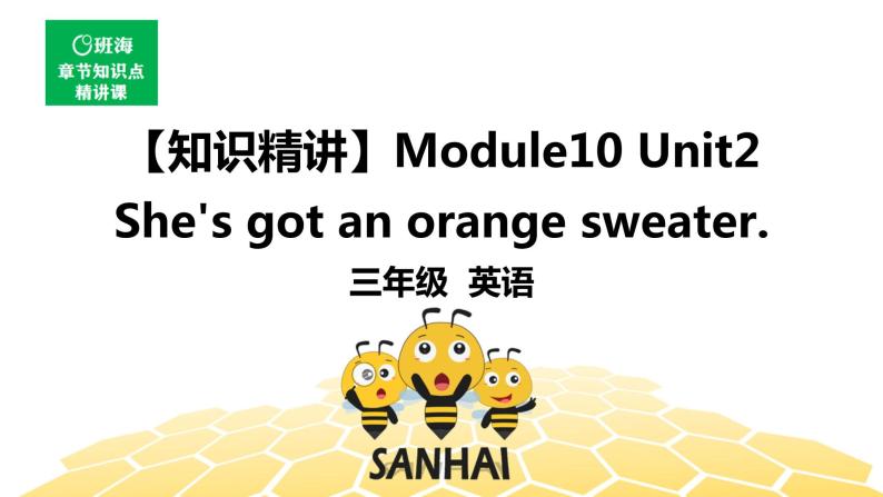 英语三年级【知识精讲】Module10 Unit2 She’s got an orange sweater.课件PPT01