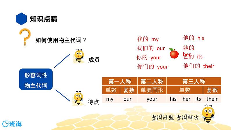 英语六年级【知识精讲】10.代词(3)物主代词课件PPT第4页