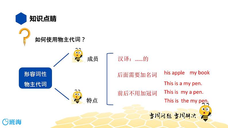 英语六年级【知识精讲】10.代词(3)物主代词课件PPT第5页