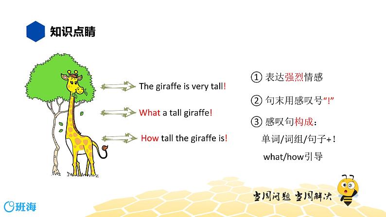 英语六年级【知识精讲】17.句型(10)感叹句课件PPT02