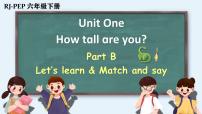 小学英语人教版 (PEP)六年级下册Unit 1 How tall are you? Part B示范课课件ppt