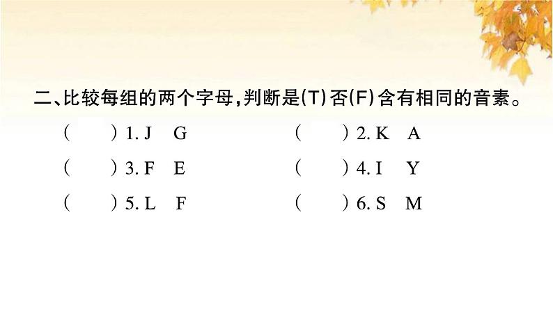 小升初英语归类冲刺专项复习卷一字母与语音课件04