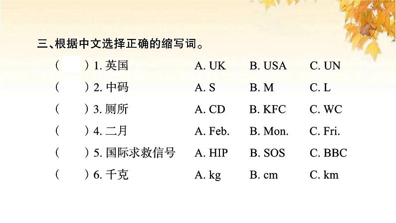 小升初英语归类冲刺专项复习卷一字母与语音课件05