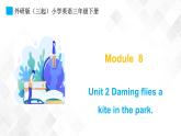 外研版（三起）三年级下册英语-Module 8 Unit 2 Daming flies a kite in the park  课件+教案+练习+素材