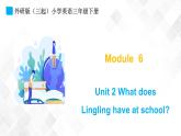 外研版（三起）三年级下册英语-Module 6 Unit 2 What does Lingling have at school  课件+教案+练习+素材