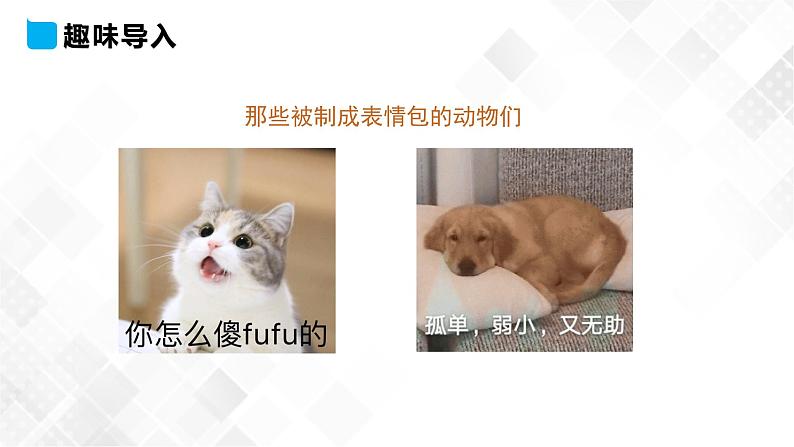 冀教版 三年级下册英语-Unit 1 Lesson 2 Cats and Dogs （课件+教案+练习+素材）03