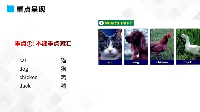 冀教版 三年级下册英语-Unit 1 Lesson 2 Cats and Dogs （课件+教案+练习+素材）07