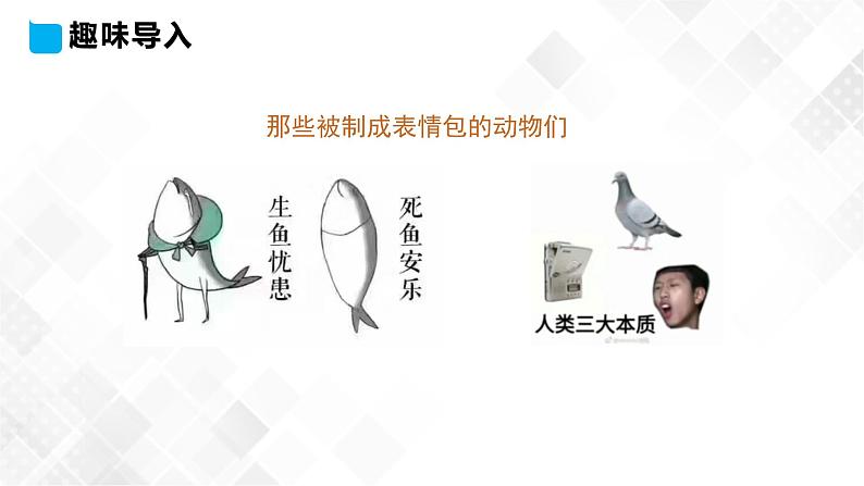冀教版 三年级下册英语-Unit 1 Lesson 3 Fish and Birds （课件+教案+练习+素材）03