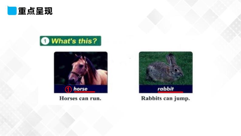 冀教版 三年级下册英语-Unit 1 Lesson 4 Horses and Rabbits （课件+教案+练习+素材）04