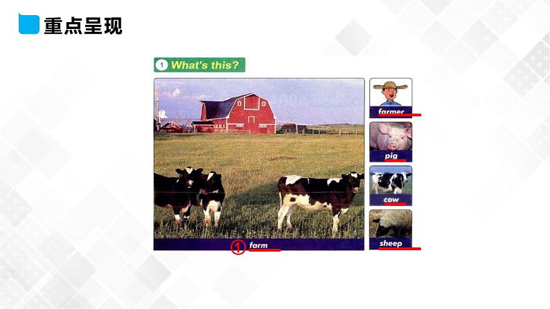 冀教版 三年级下册英语-Unit 1 Lesson 1 On the Farm （课件+教案+练习+素材）05