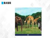 冀教版 三年级下册英语-Unit 2 Lesson 7 At the Zoo （课件+教案+练习+素材）