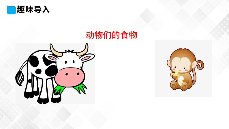 Lesson 11 What Do They Eat 课件第3页