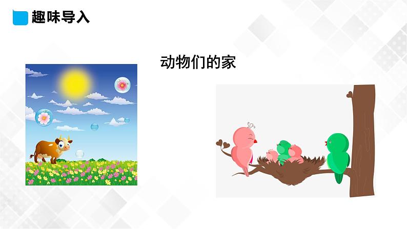 Lesson 10 Where Do They Live 10课件第3页