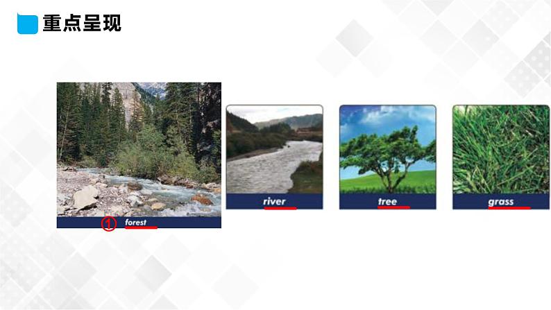 Lesson 10 Where Do They Live 10课件第5页