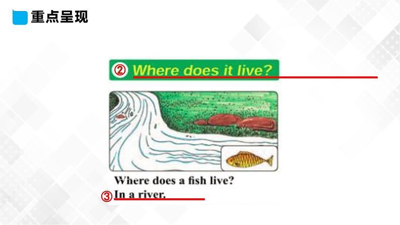 Lesson 10 Where Do They Live 10课件第6页