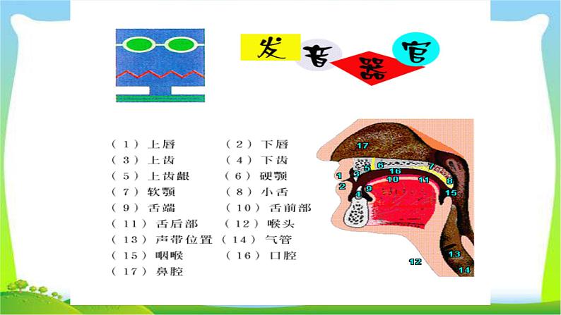 小升初英语衔接国际音标完美课件PPT06