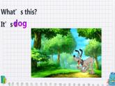Unit 4 We love animals  A Let's learn & Let's chant-2021-2022学年三年级英语上册 课件（共19张PPT）