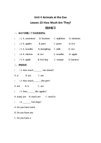 小学英语冀教版 (三年级起点)三年级下册Lesson 23 How Much Are They?同步练习题