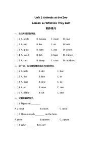 英语三年级下册Lesson 11 What Do They Eat?同步训练题