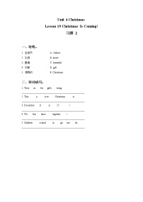 英语Lesson 19 Christmas Is Coming!同步训练题